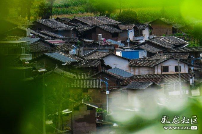 派能科技去年净利预降 上市3年两募资共募71.7亿
